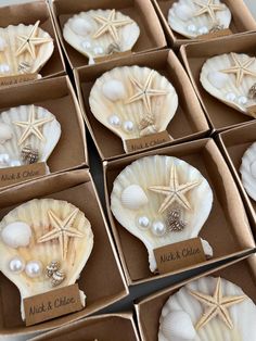 six seashells with pearls are in boxes