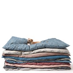 a dog laying on top of a pile of folded clothes in front of a white background