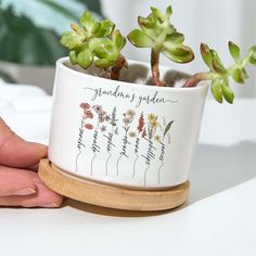 a hand holding a small potted plant on top of a white table with writing