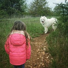 Petite rando de début mai, bientôt les grandes randonnées 😁😁 #samoyede #samoyed #samoyedefrance #rando #famille #chien #dog #fun Dog Fun, Engagement Marketing, Marketing Automation, Dog Training, Email Marketing, Marketing