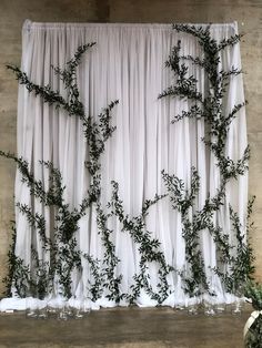 an arrangement of greenery is displayed on the wall in front of a white curtain