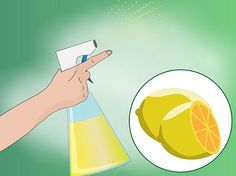 a hand holding a spray bottle with an orange on it and a lemon slice next to it