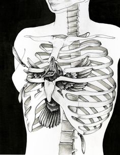 a black and white drawing of a woman's torso with the ribcage visible