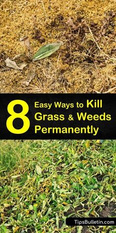 grass and weeds with the words 8 easy ways to kill grass & weeds permanently on it