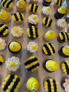 cupcakes decorated with yellow and black frosting are arranged in a bee theme