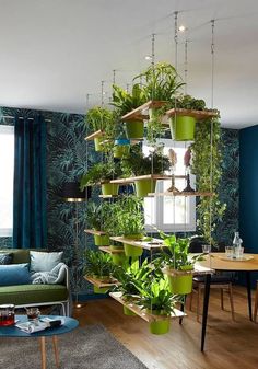 a living room filled with lots of green plants