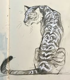 a drawing of a cat sitting on the ground