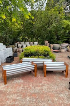 two benches sitting in the middle of a garden with potted plants on each side