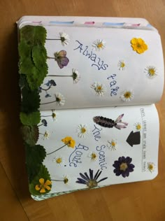 an open book with flowers and butterflies on it, sitting on a wooden floor next to a plant