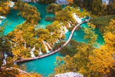 an aerial view of a wooden walkway leading to a waterfall in the middle of a forest