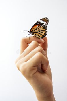 a hand holding a butterfly in it's fingers royalty images and clippings