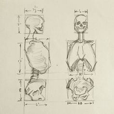 the drawing shows how to draw human bodies in three different ways, including head and torso