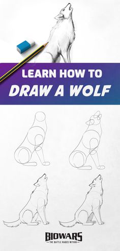 A collage of images depicting the process of wolf drawing. Wolf Sketch Tutorial, Wolf Drawing Easy Step By Step, Step By Step Wolf Drawing, How To Draw A Wolf Easy, How To Draw A Wolf Step By Step, How To Draw Wolves, Wolf Cute Drawing, Wolve Drawings, Draw A Wolf Easy