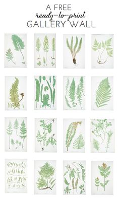 a book with green leaves on it and the title, a free printable guide for hand - painted gallery wall