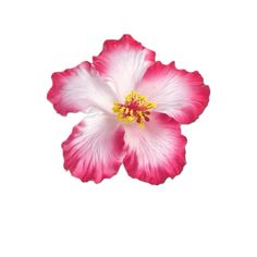 a pink and white flower on a white background