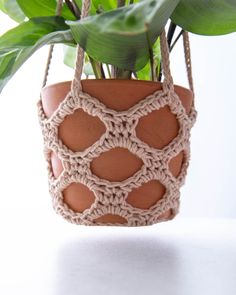 a plant hanging in a pot with text overlay that reads free crochet pattern