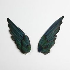 two green feathers with the words vuela benito written below them