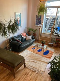 a living room filled with furniture and lots of plants on top of a hard wood floor