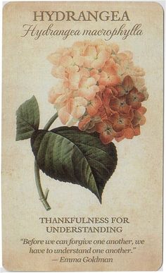 a card with an image of hydrangea flowers on the front and back side