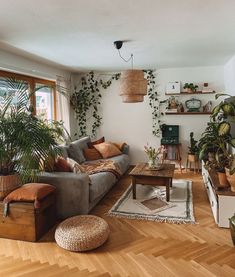 a living room filled with furniture and lots of plants