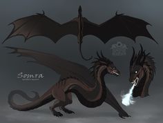 Dragon Oc Design, Wyvern Oc, Hotd Dragons, Mythical Creatures Fantasy, Dragon Tales, Dragon Artwork Fantasy, Dragon Sketch, Cute Fantasy Creatures, Fantasy Beasts