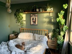 a cat laying on top of a bed in a room with green walls and plants