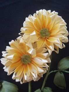 three yellow flowers with green leaves on a black background