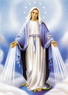 the immaculate mary is surrounded by clouds and stars