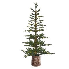 a small pine tree in a vase on a white background with the top half covered by burlock