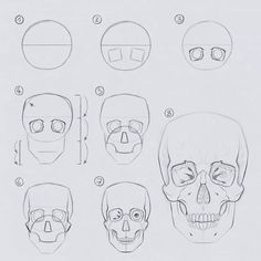 the steps to draw a skull with different facial shapes and head length, from top to bottom