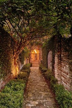 a stone path leading to an entrance into a garden with trees and bushes on either side