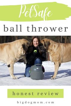 two dogs and a woman in the snow with text that reads, pet safe ball thrower