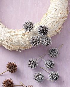 several dried flowers are arranged on a purple surface