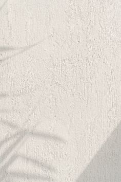 the shadow of a palm tree is cast on a white stucco wall with a plant