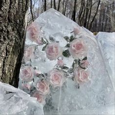 pink roses are placed on ice in the shape of a heart and surrounded by snow