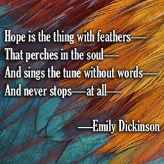 an image of colorful feathers with the words, hope is the thing with feathers that perches in the soul and sings the tune without words