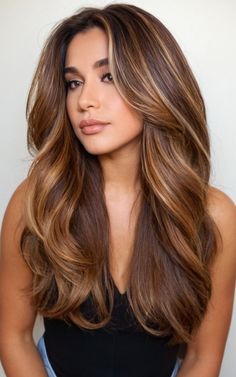 Honey Hair With Highlights, Caramel Brown Hair Honey, Warm Honey Brown Hair Balayage, Honey Highlights On Brown Hair, Honey Highlights On Dark Hair, Honey Brown Hair With Highlights, Honey Colored Hair, Honey Brown Balayage