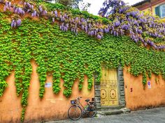 a bicycle parked next to a building covered in purple flowers