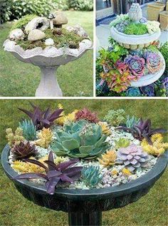 four pictures of different plants and flowers in an outdoor planter, including succulents