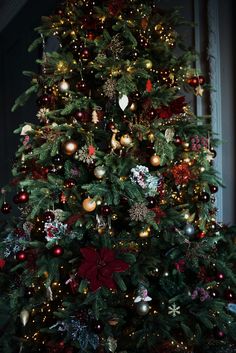 a decorated christmas tree with red and gold ornaments on the top, in a dark room