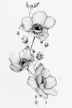 black and white drawing of three flowers on a white background with drops of water in the middle