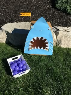 a paper bag with a shark on it next to a box of balls in the grass