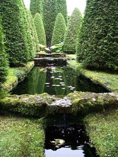 a pond surrounded by trees and grass in the middle of a garden with lots of water