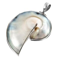 Unique Silver Shell As A Gift, Unique Silver Shell Jewelry, Silver Mother Of Pearl Shell Gift, Unique Shell-shaped Silver Jewelry, Silver Shell-shaped Mother Of Pearl Jewelry, Unique Silver Shell-shaped Jewelry, Elegant Silver Abalone Shell, Elegant Silver Pendant Shell, Elegant Sterling Silver Shell In Silver