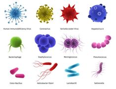 an image of different types of germs