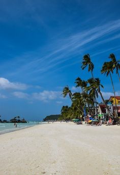 a beach with palm trees and people on it