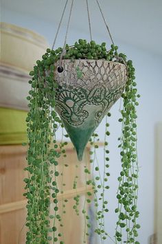 a plant hanging from a ceiling in a room