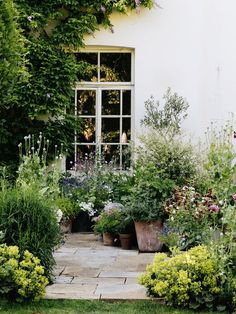 an outdoor garden with potted plants and flowers in front of a white building, surrounded by greenery