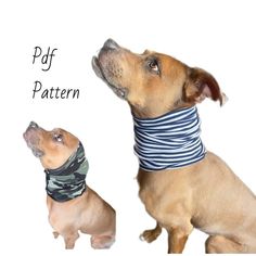 two dogs with bandanas on their heads looking up at something in the sky that says pff pattern