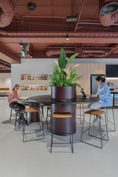 two people sitting at a table with a laptop in an open office space that also has planters on the walls